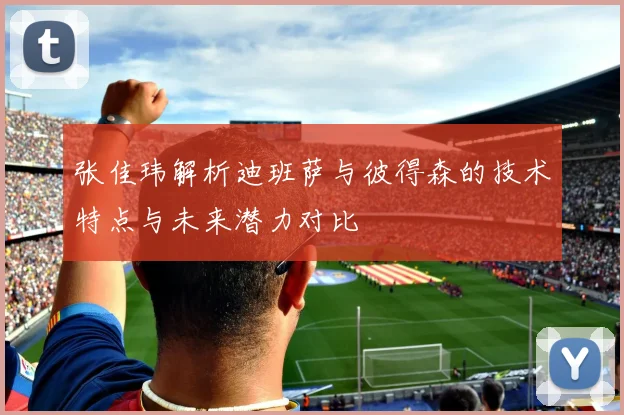 张佳玮解析迪班萨与彼得森的技术特点与未来潜力对比