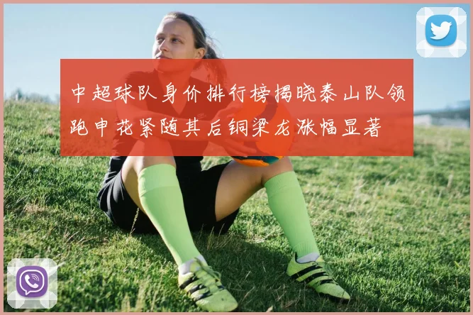 中超球队身价排行榜揭晓泰山队领跑申花紧随其后铜梁龙涨幅显著